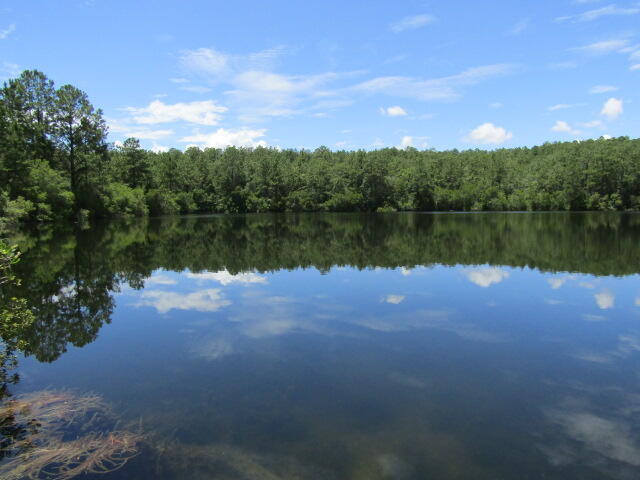 1371 Suzanne Circle Holt, FL 32564 - Photo 2 of 45