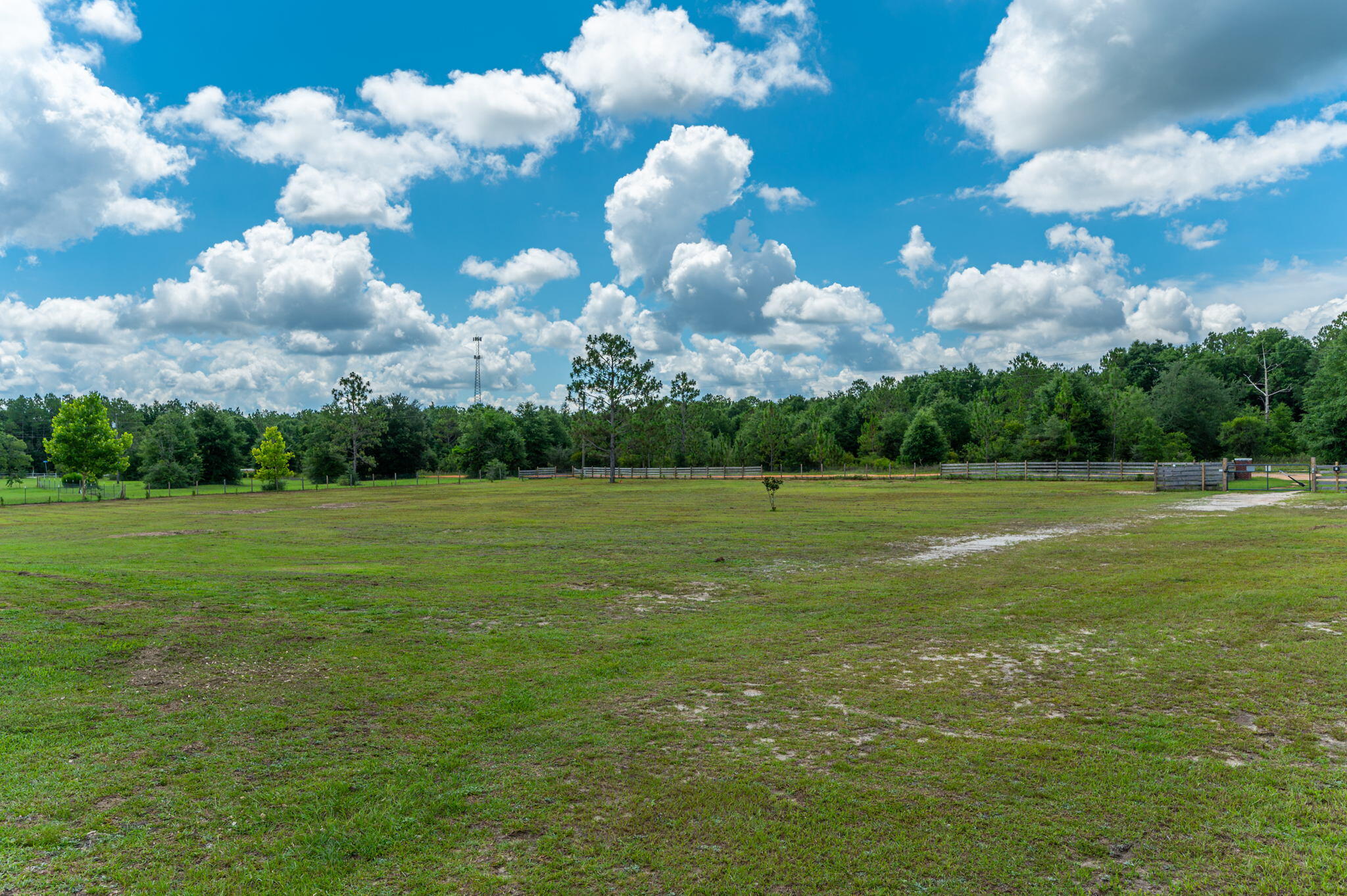 1371 Suzanne Circle Holt, FL 32564 - Photo 9 of 45