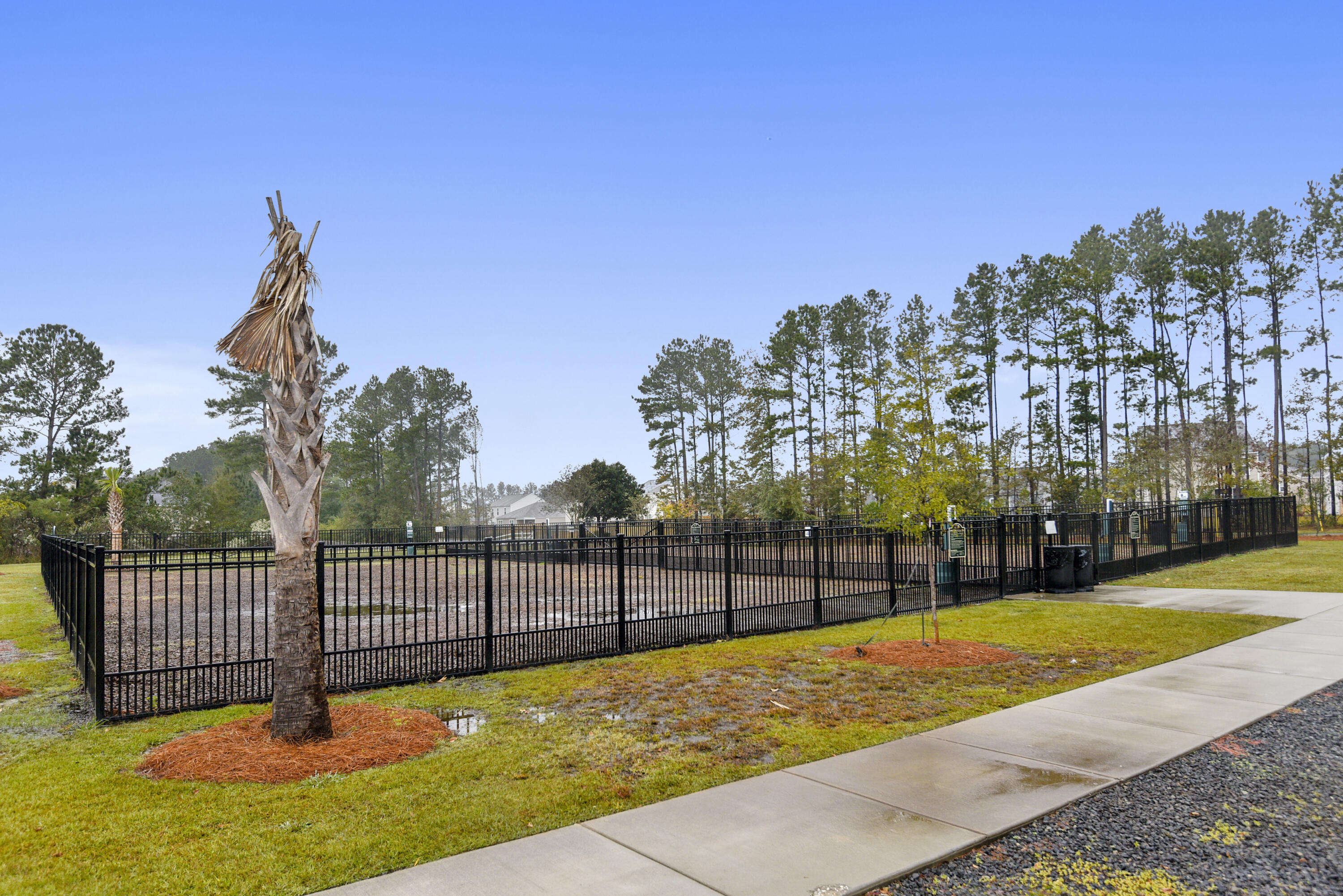 208 Threshing Court Moncks Corner, SC 29461 - Photo 39 of 39 amenity-carriage_run_dog_run-dsc9269