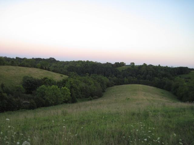 0 Baker Williams Road Corinth, KY 41010 - Photo 8 of 20 Gallery Image 8