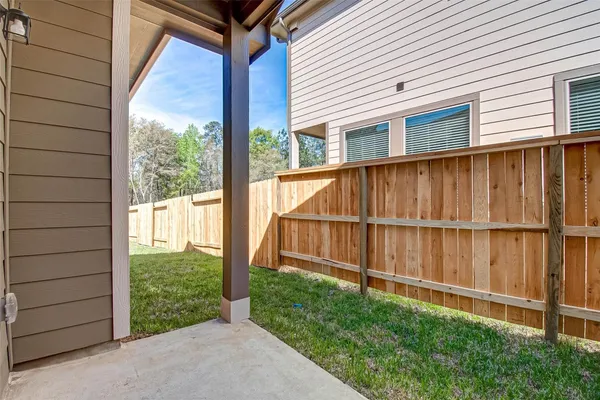 a view of a backyard with a large tree