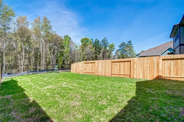 a view of a back yard