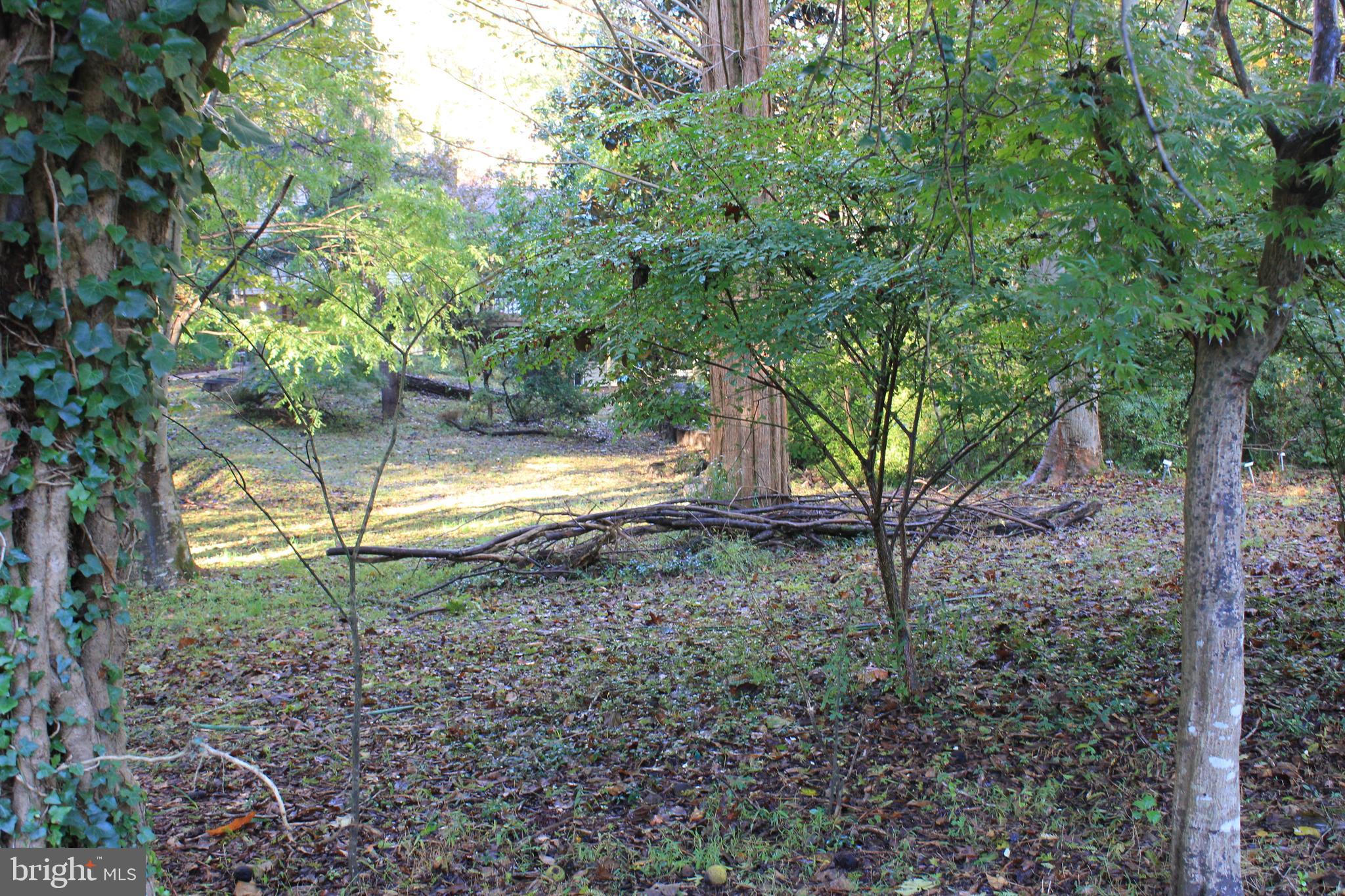 5510 Stephen Reid Road Huntingtown, MD 20639 - Photo 28 of 59 a view of a yard with a tree