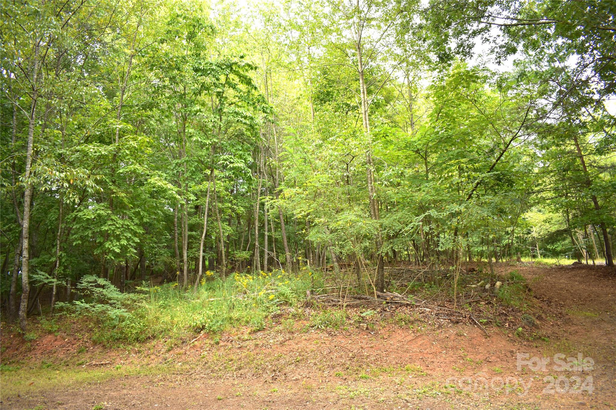 0 Ridge View Circle, Unit 20 & 21 Lake Lure, NC 28746 - Photo 2 of 5 a view of a forest with a trees