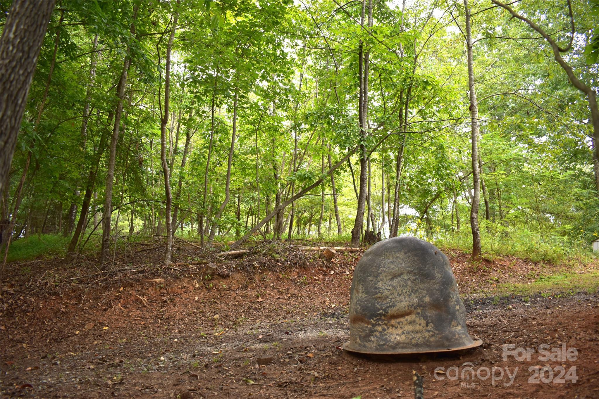 0 Ridge View Circle, Unit 20 & 21 Lake Lure, NC 28746 - Photo 3 of 5 a view of a outdoor space