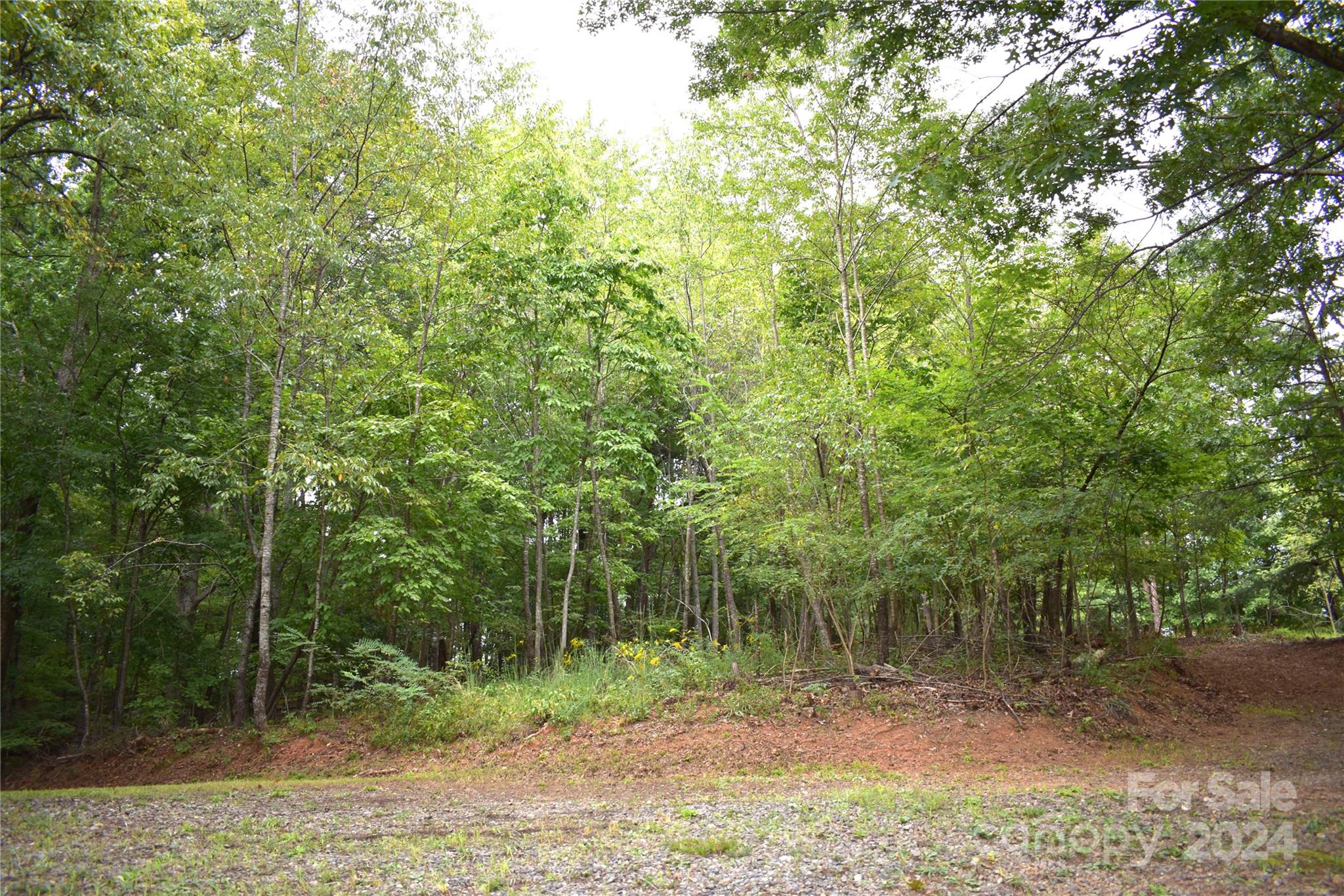 0 Ridge View Circle, Unit 20 & 21 Lake Lure, NC 28746 - Photo 4 of 5 a view of outdoor space and tree