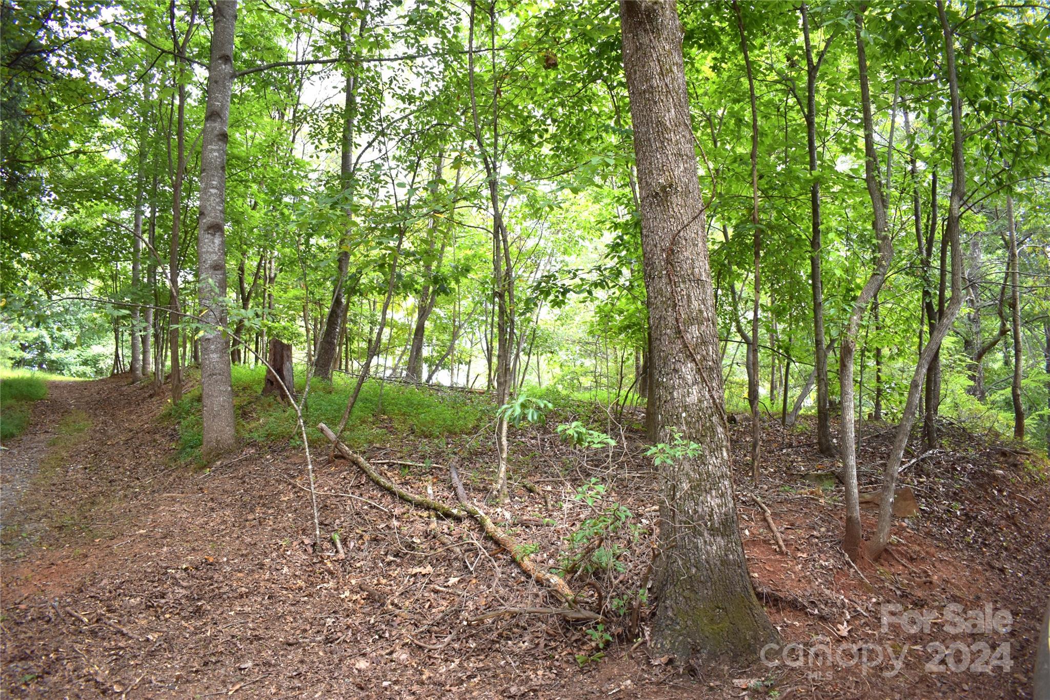 0 Ridge View Circle, Unit 20 & 21 Lake Lure, NC 28746 - Photo 5 of 5 a garden view with lots of trees