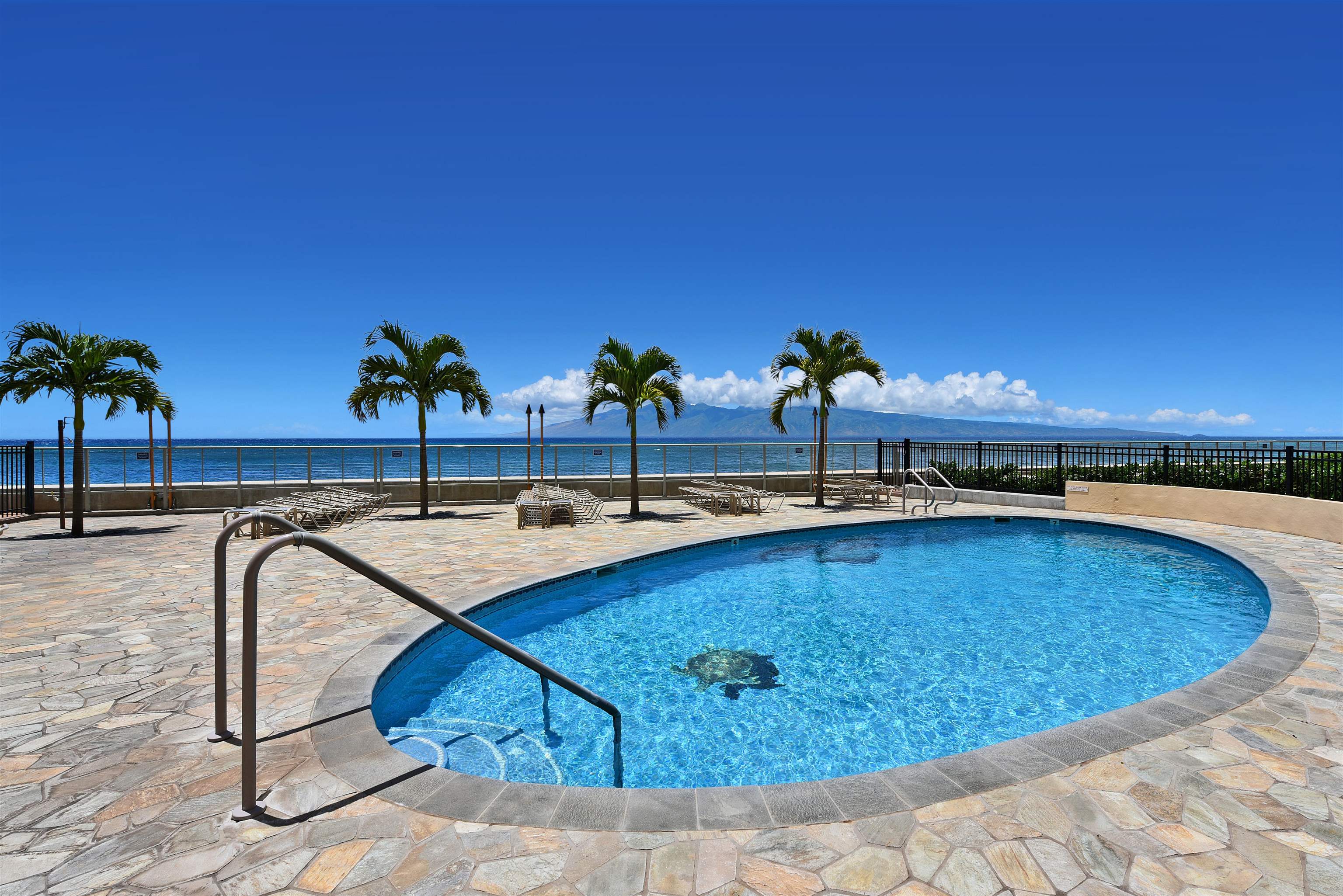 4401 Lower Honoapiilani Road, Unit B801 Lahaina, HI 96761 - Photo 24 of 32