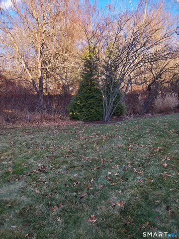 a view of a yard with trees