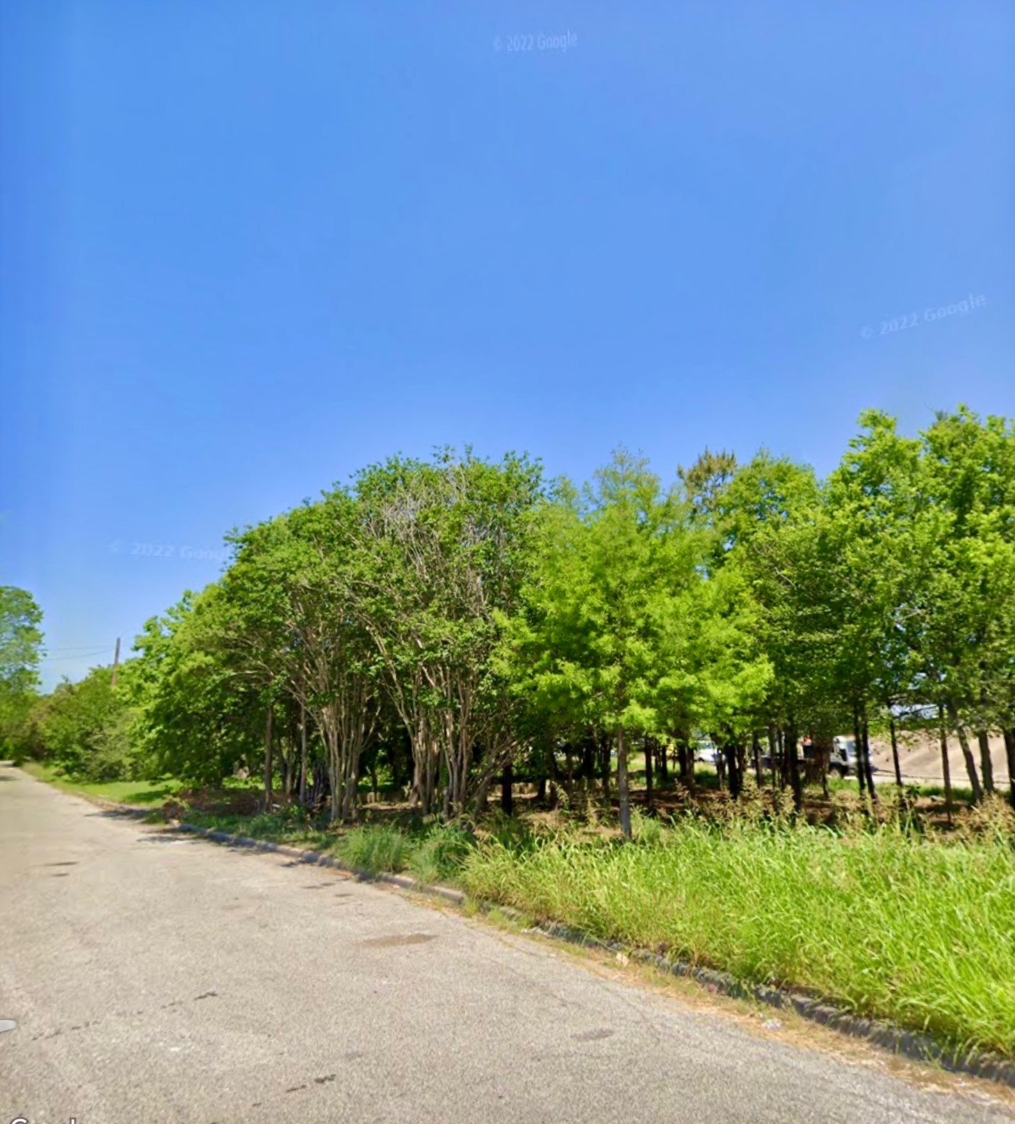 3110 Gray Street Houston, TX 77004 - Photo 11 of 14 a view of a field with plants and trees