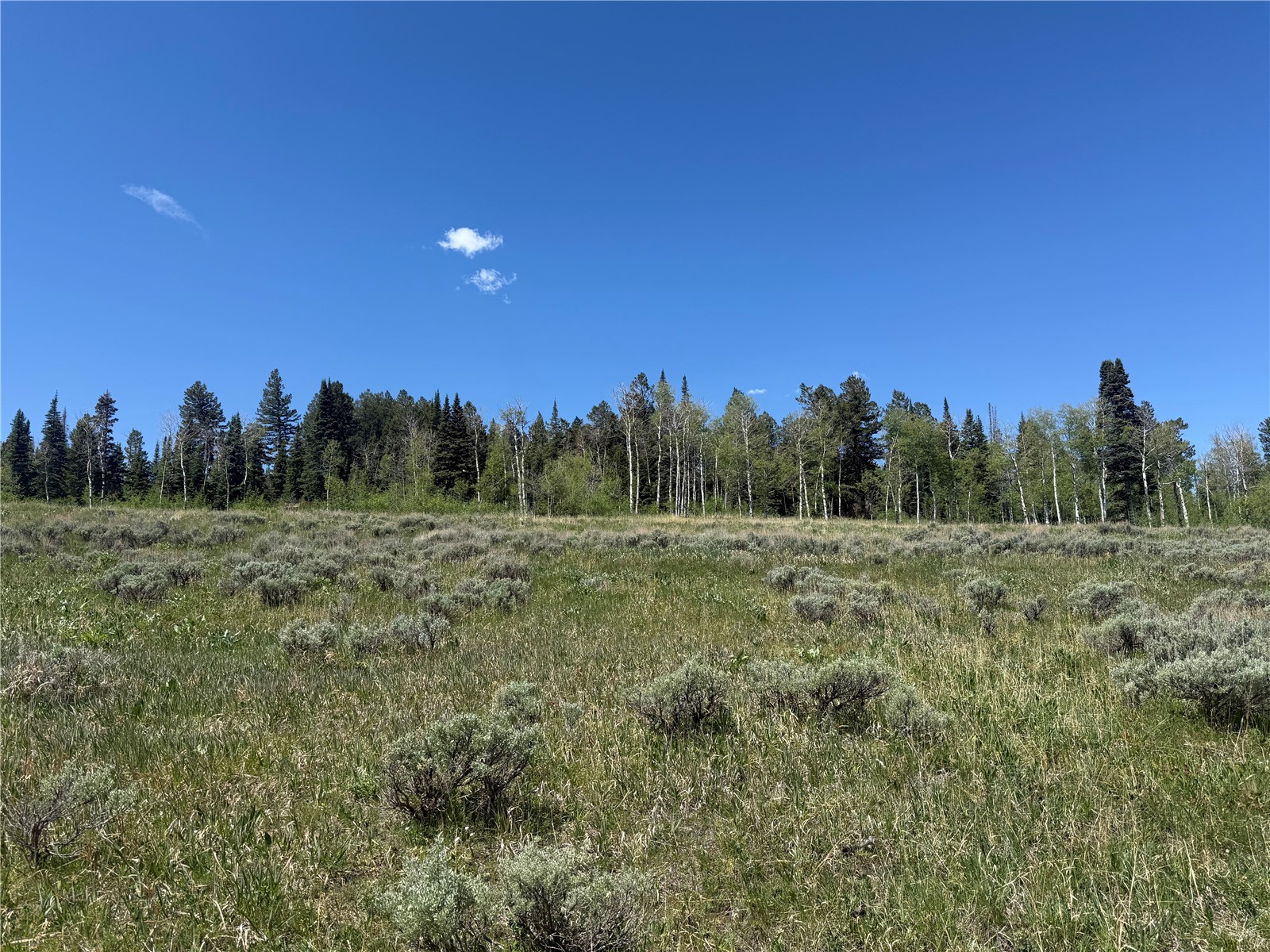 Tbd Spring Creek Ranch Road Silverthorne, CO 80498 - Photo 48 of 48