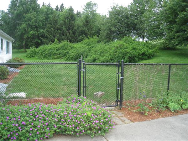 233 South Meadow Road Lancaster, MA 01523 - Photo 21 of 21 a view of a garden