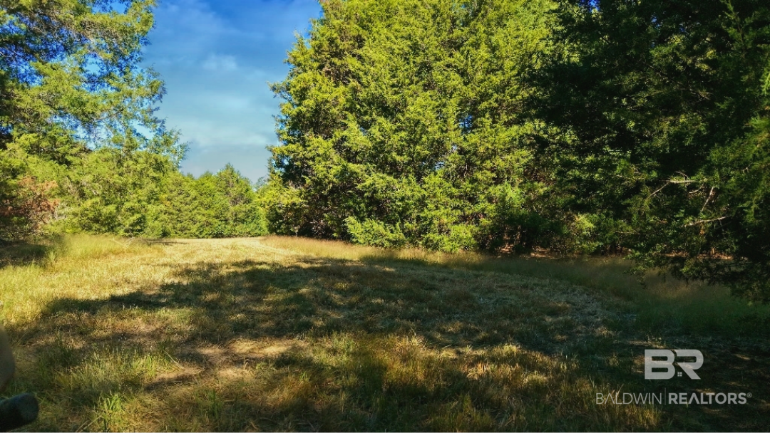 0 Highway 17 Millry, AL 36558 - Photo 62 of 73 Gallery Image 62