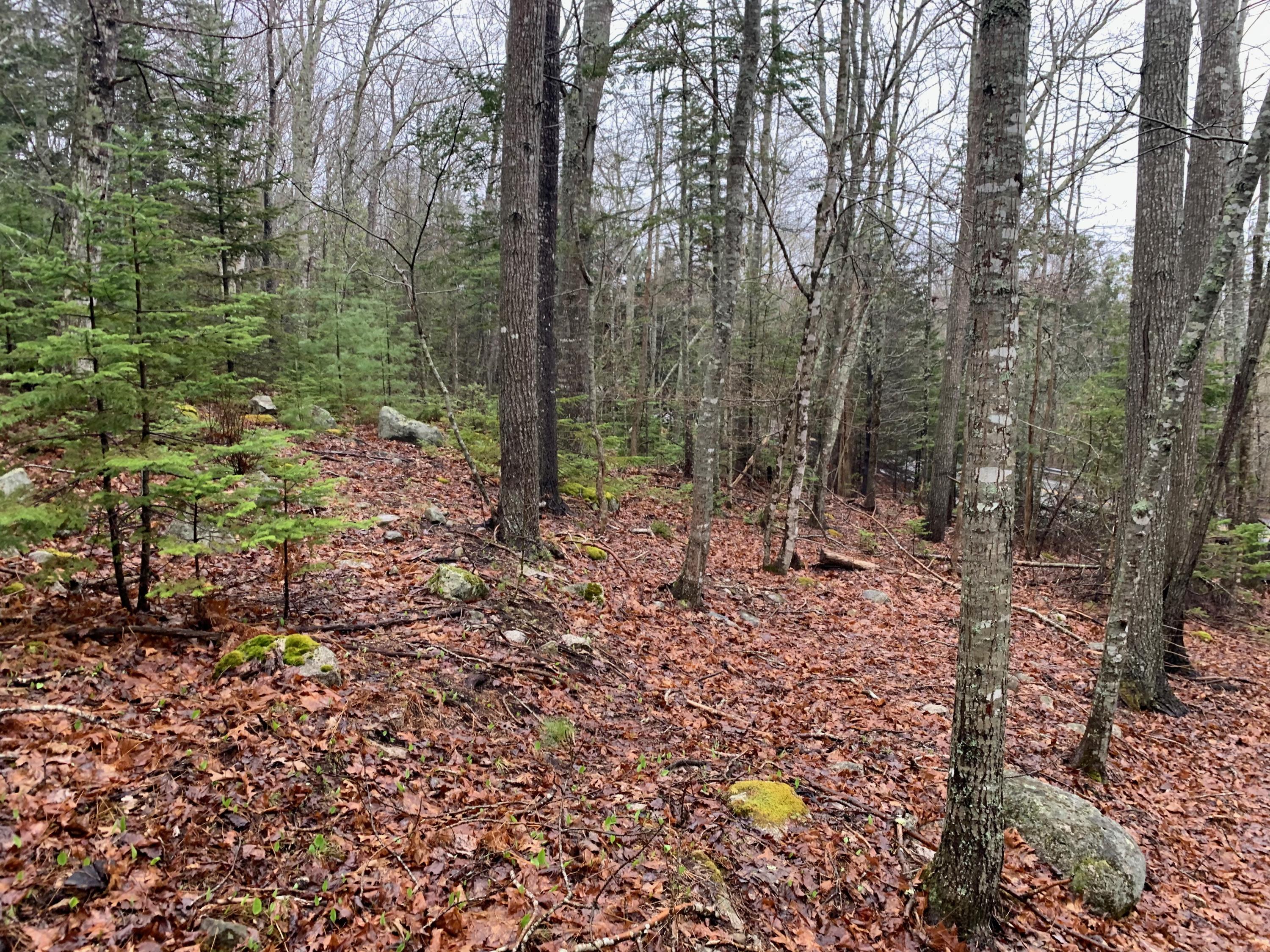 49 Byards Point Road Sedgwick, ME 04673 - Photo 21 of 38 Photos - 4 of 23