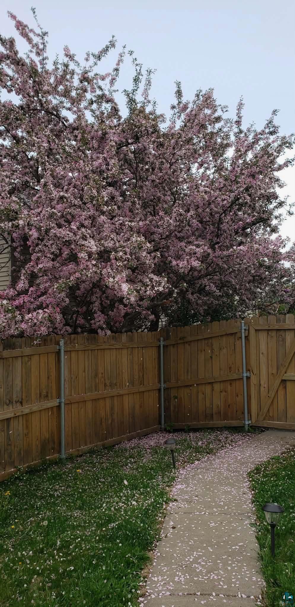 9237 Orchard Street Duluth, MN 55810 - Photo 41 of 44 spring/summer photo