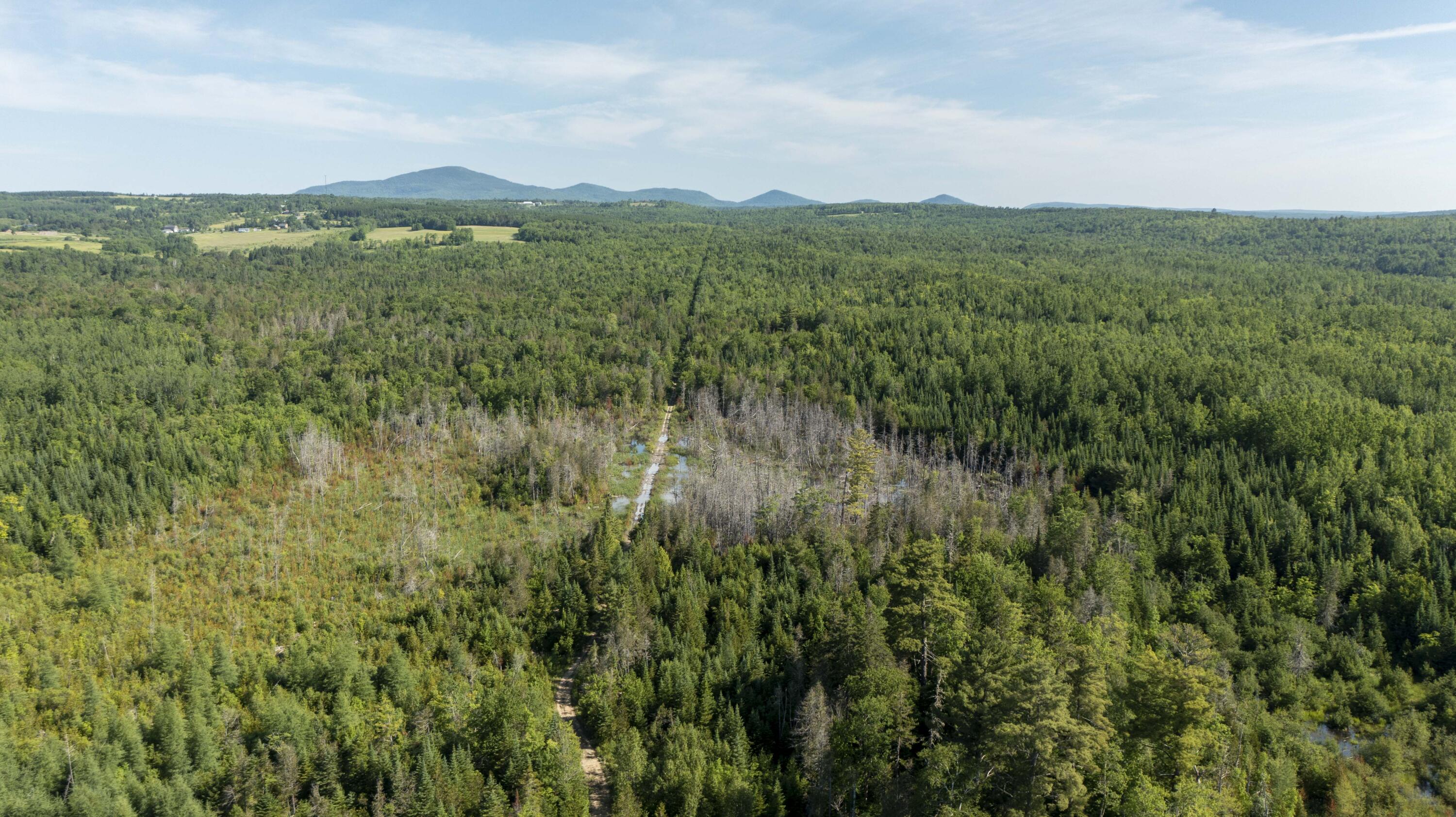 53 North Road Patten, ME 04765 - Photo 22 of 97 53 North Rd. Patten (21 of 41)