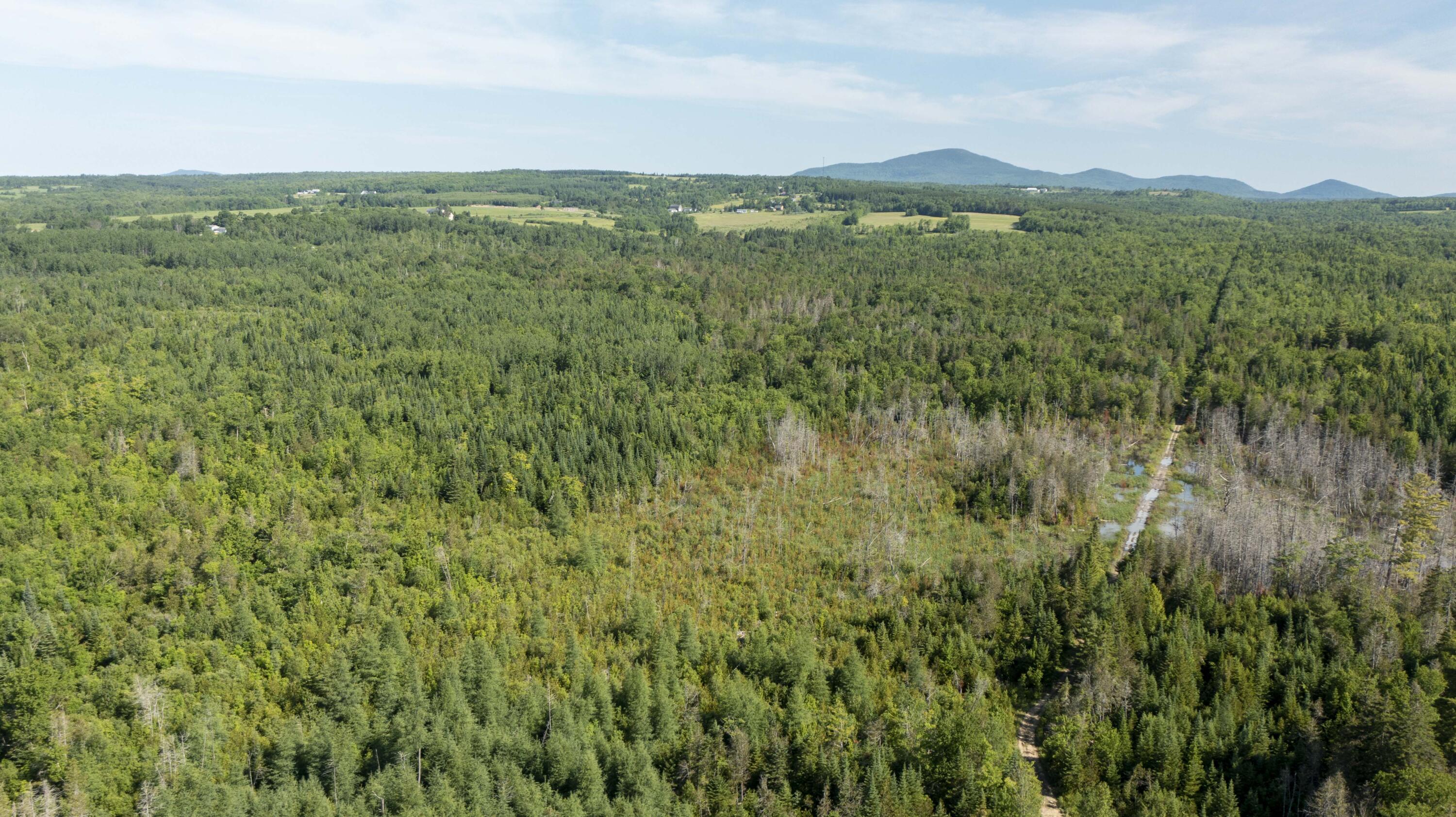 53 North Road Patten, ME 04765 - Photo 23 of 97 53 North Rd. Patten (22 of 41)