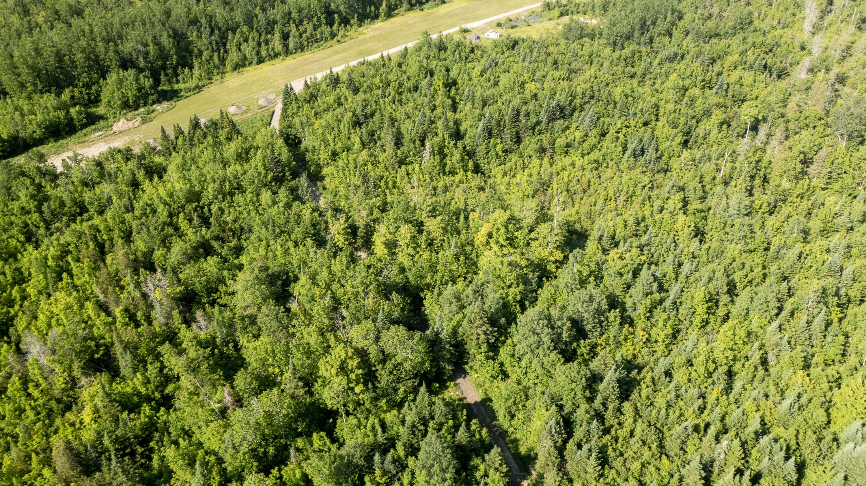 53 North Road Patten, ME 04765 - Photo 26 of 97 53 North Rd. Patten (25 of 41)