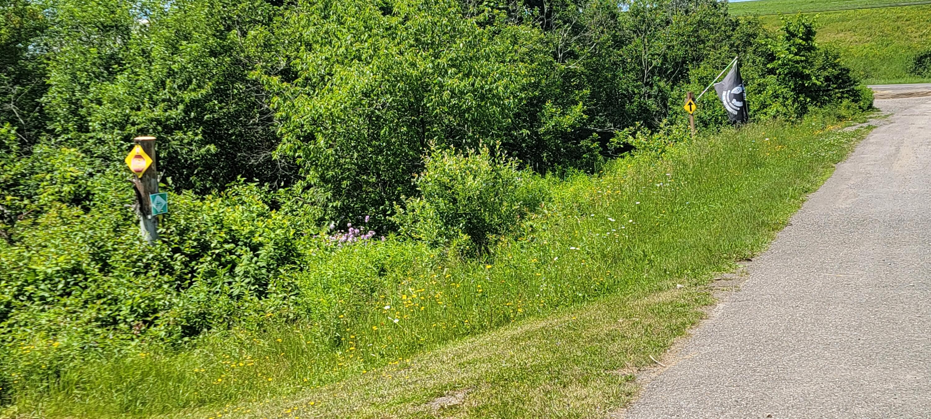53 North Road Patten, ME 04765 - Photo 96 of 97 Rte 11 Entry