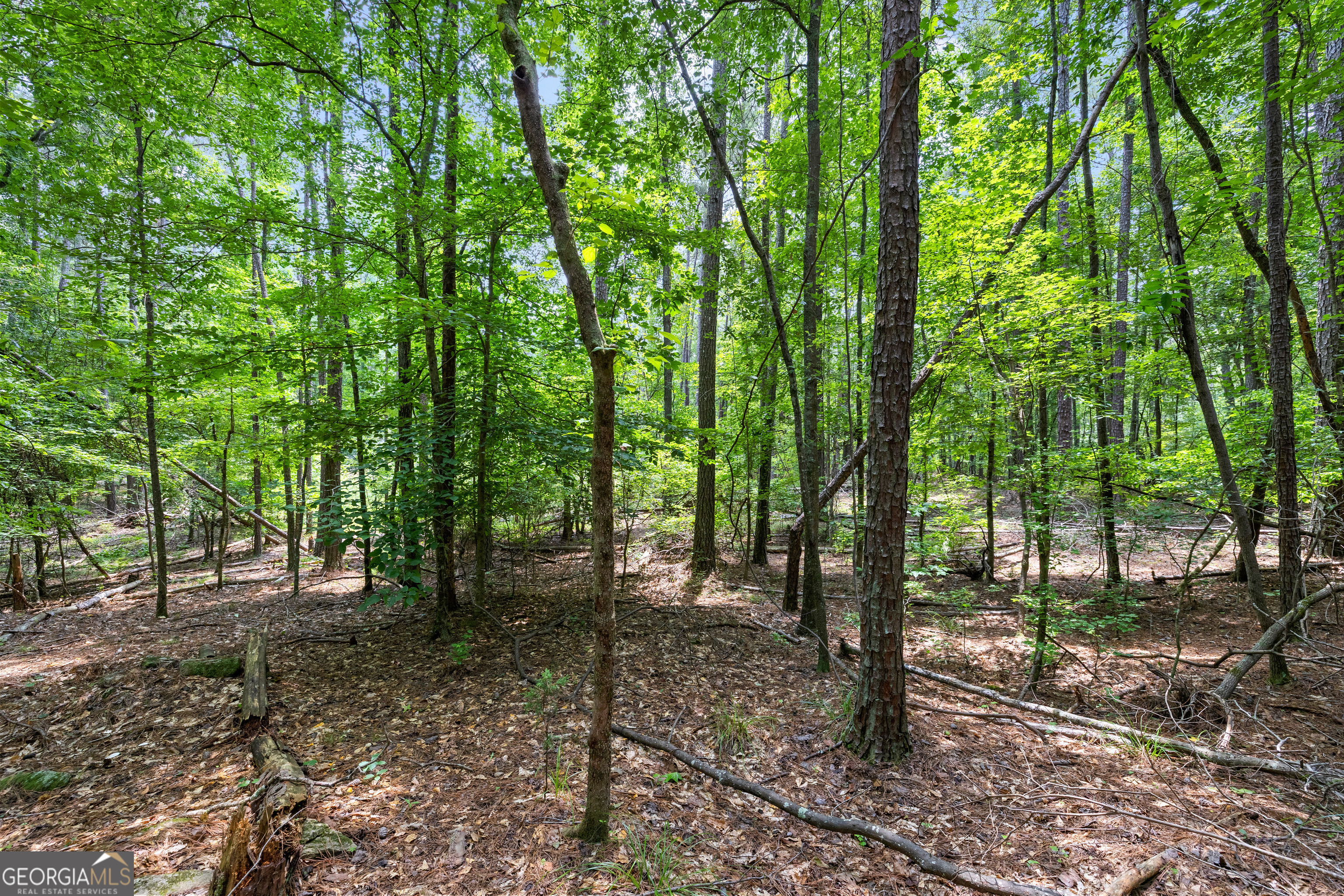 0 Terry Road Fairburn, GA 30213 - Photo 13 of 22