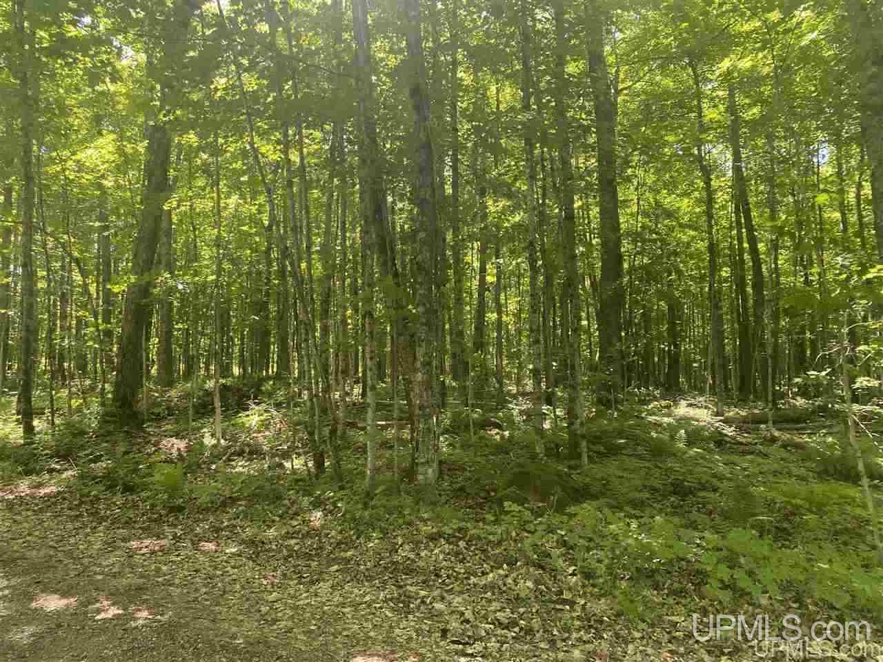 Tbd East Shore Road, Unit 1 Marenisco, MI 49947 - Photo 24 of 31 Gallery Image 24