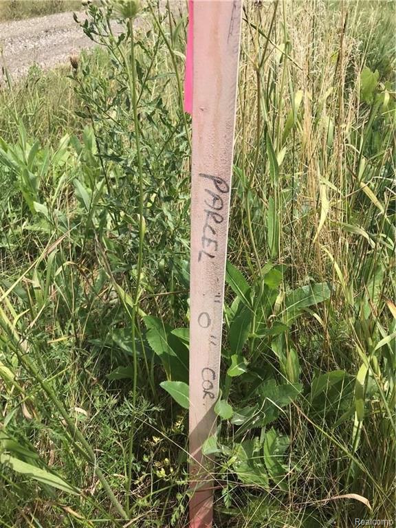 Lot O Hacker Road Howell, MI 48843 - Photo 3 of 12