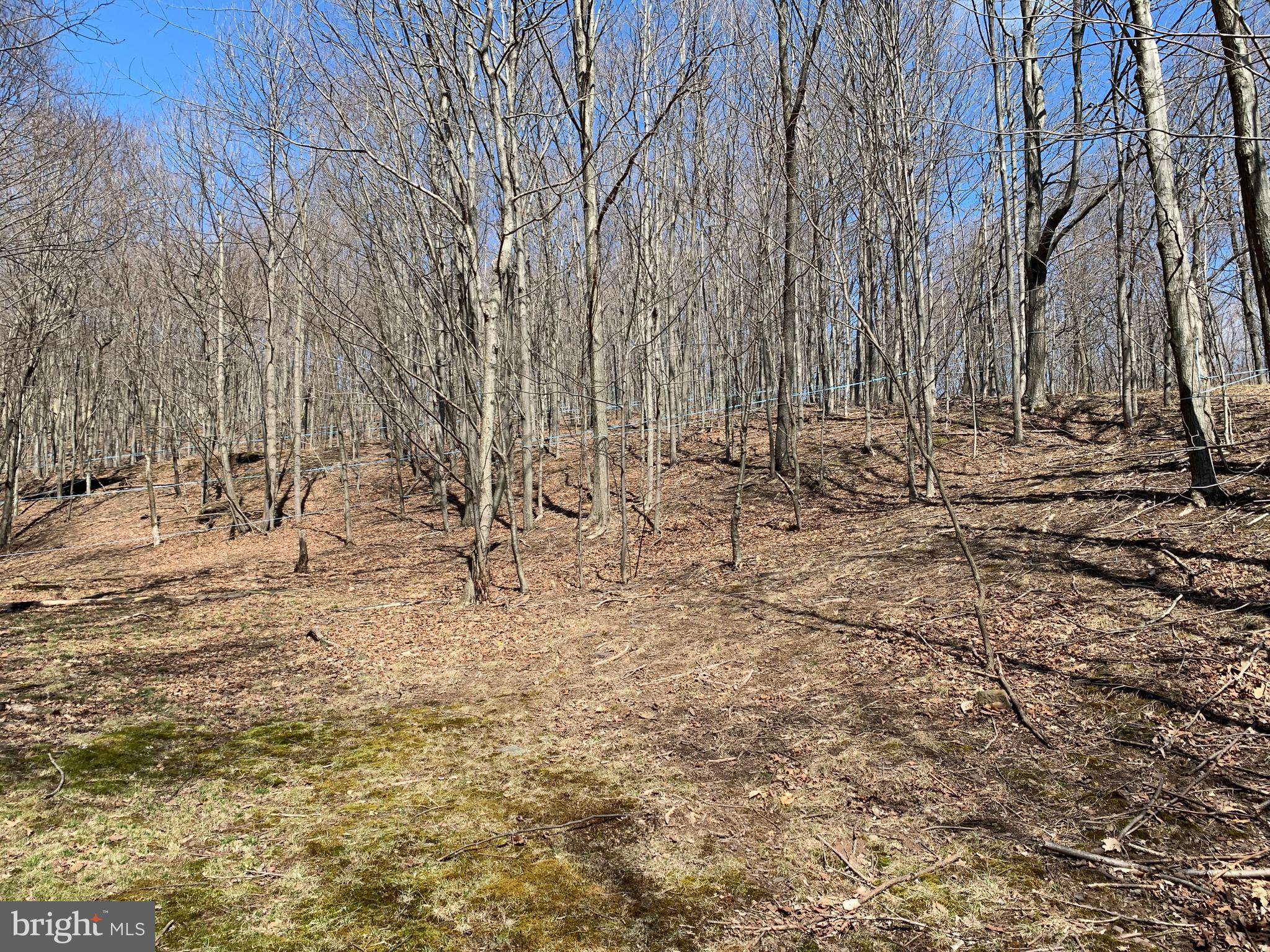 629 Club Road Schellsburg, PA 15559 - Photo 12 of 15