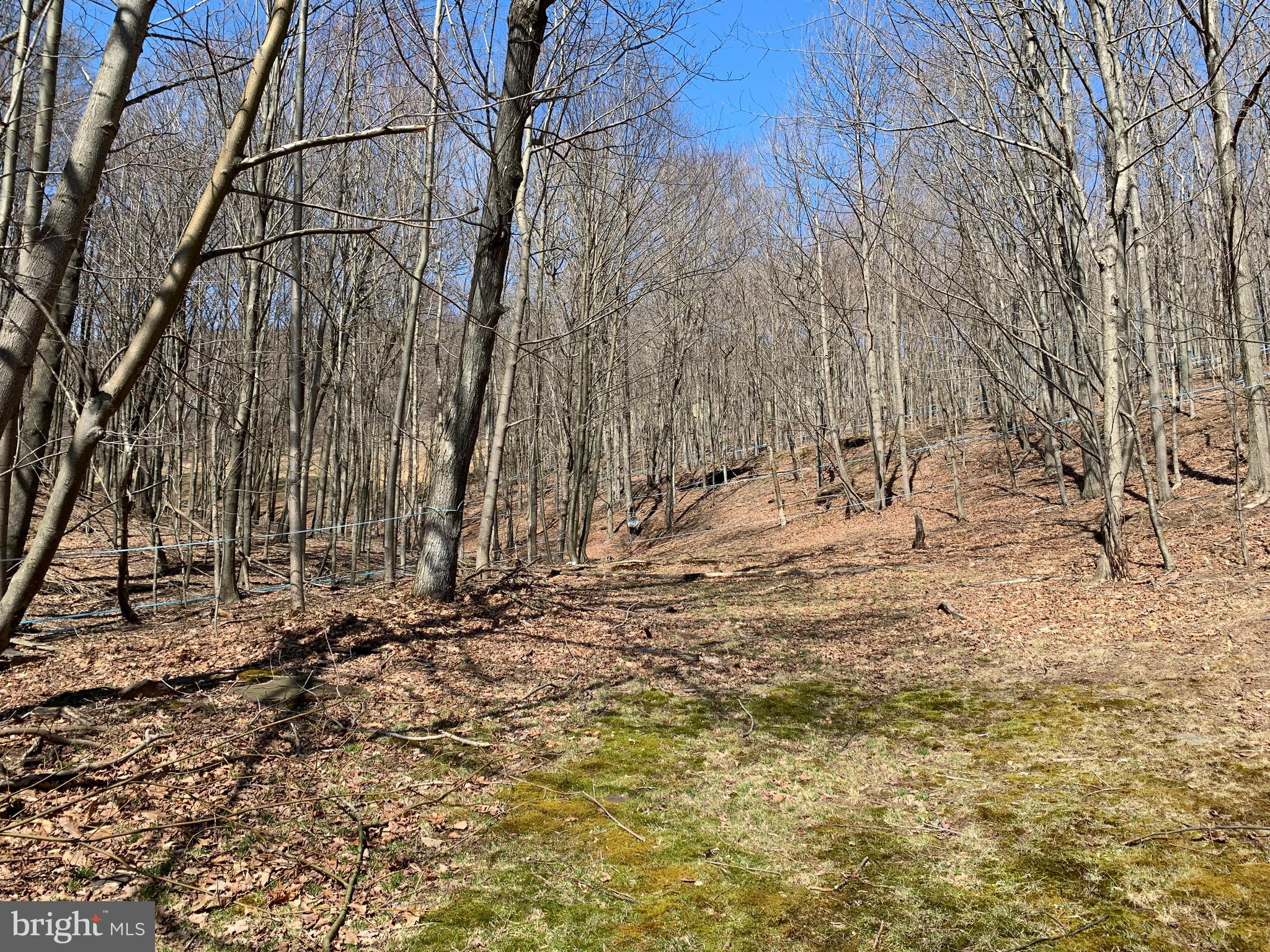 629 Club Road Schellsburg, PA 15559 - Photo 13 of 15