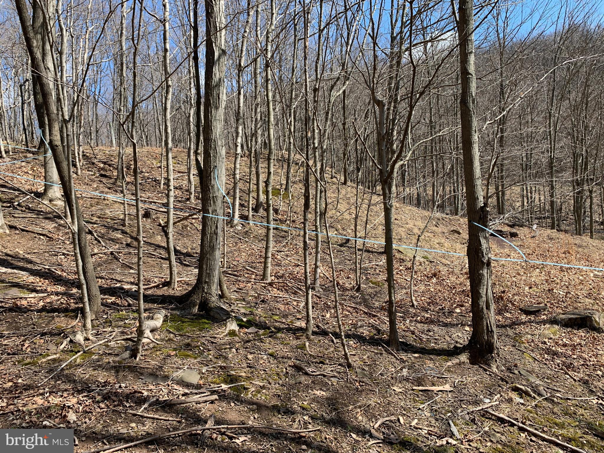 629 Club Road Schellsburg, PA 15559 - Photo 14 of 15