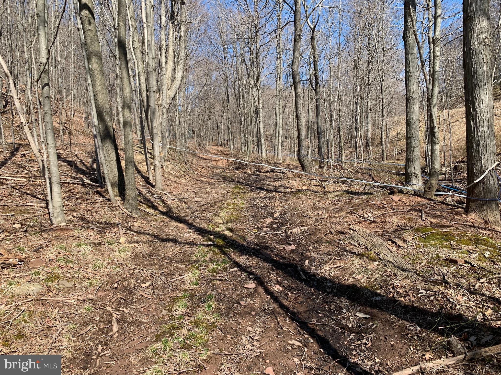 629 Club Road Schellsburg, PA 15559 - Photo 15 of 15