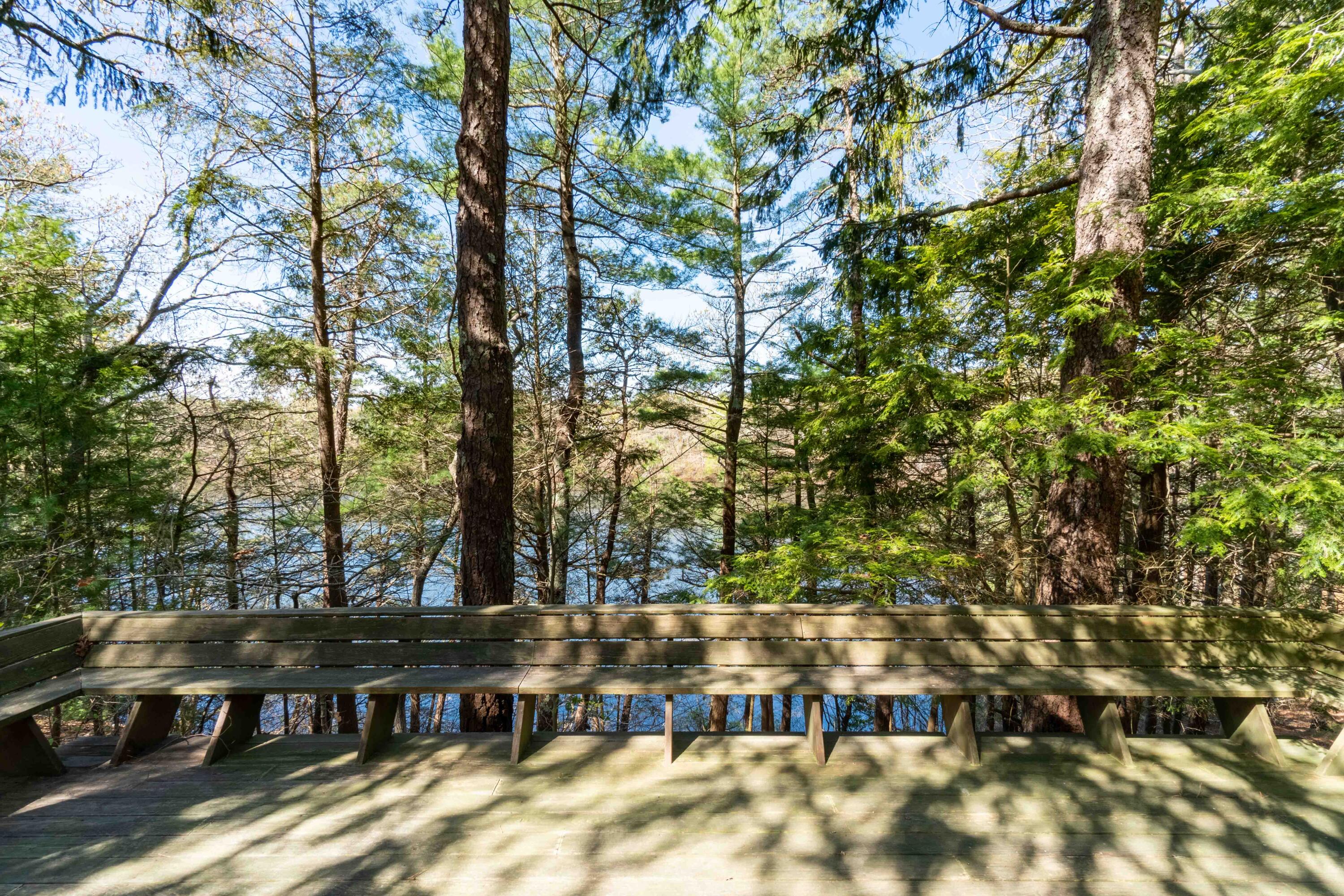 54 Devolder Road Marstons Mills, MA 02648 - Photo 25 of 33 DSC03668-HDR