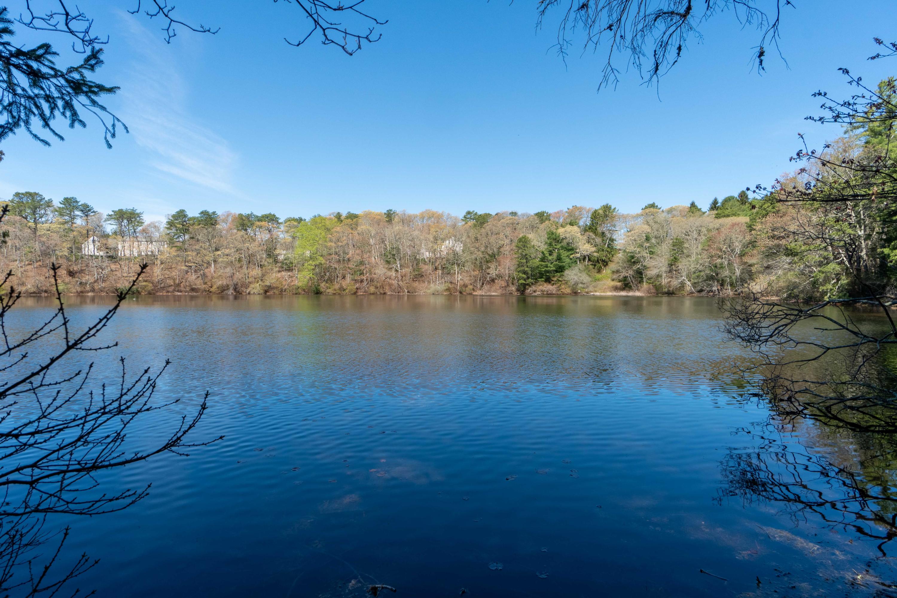 54 Devolder Road Marstons Mills, MA 02648 - Photo 28 of 33 DSC03695-HDR