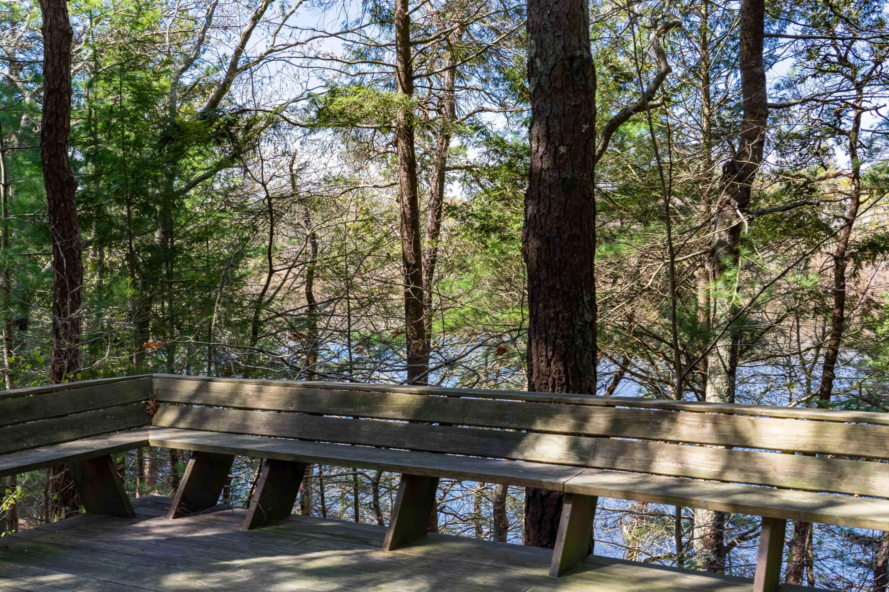 54 Devolder Road Marstons Mills, MA 02648 - Photo 33 of 33 DSC06044-HDR