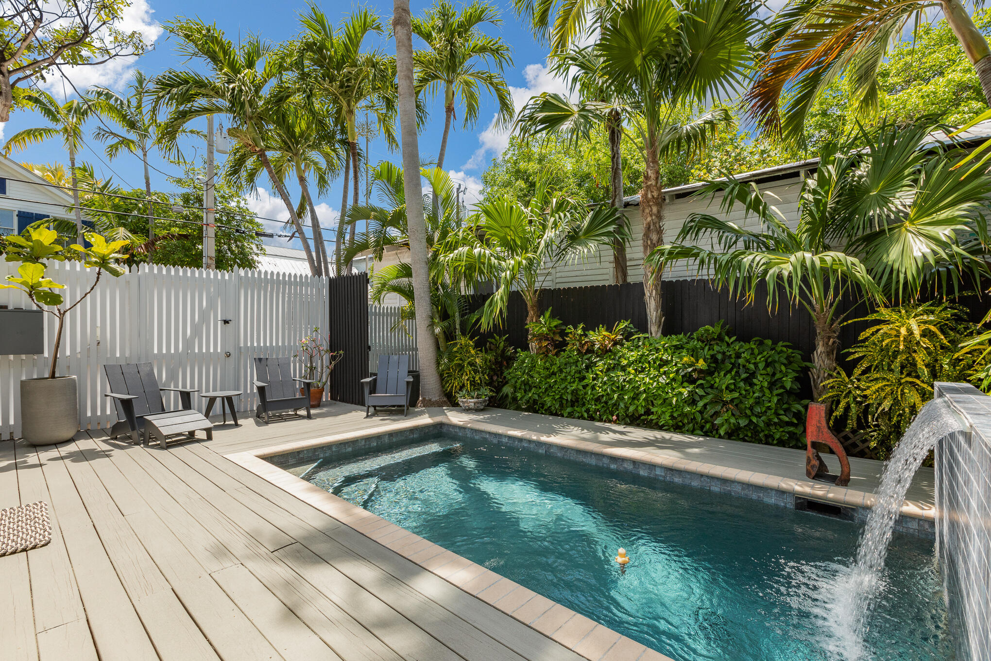 819 Elizabeth Street Key West, FL 33040 - Photo 23 of 28 a view of a backyard with plants