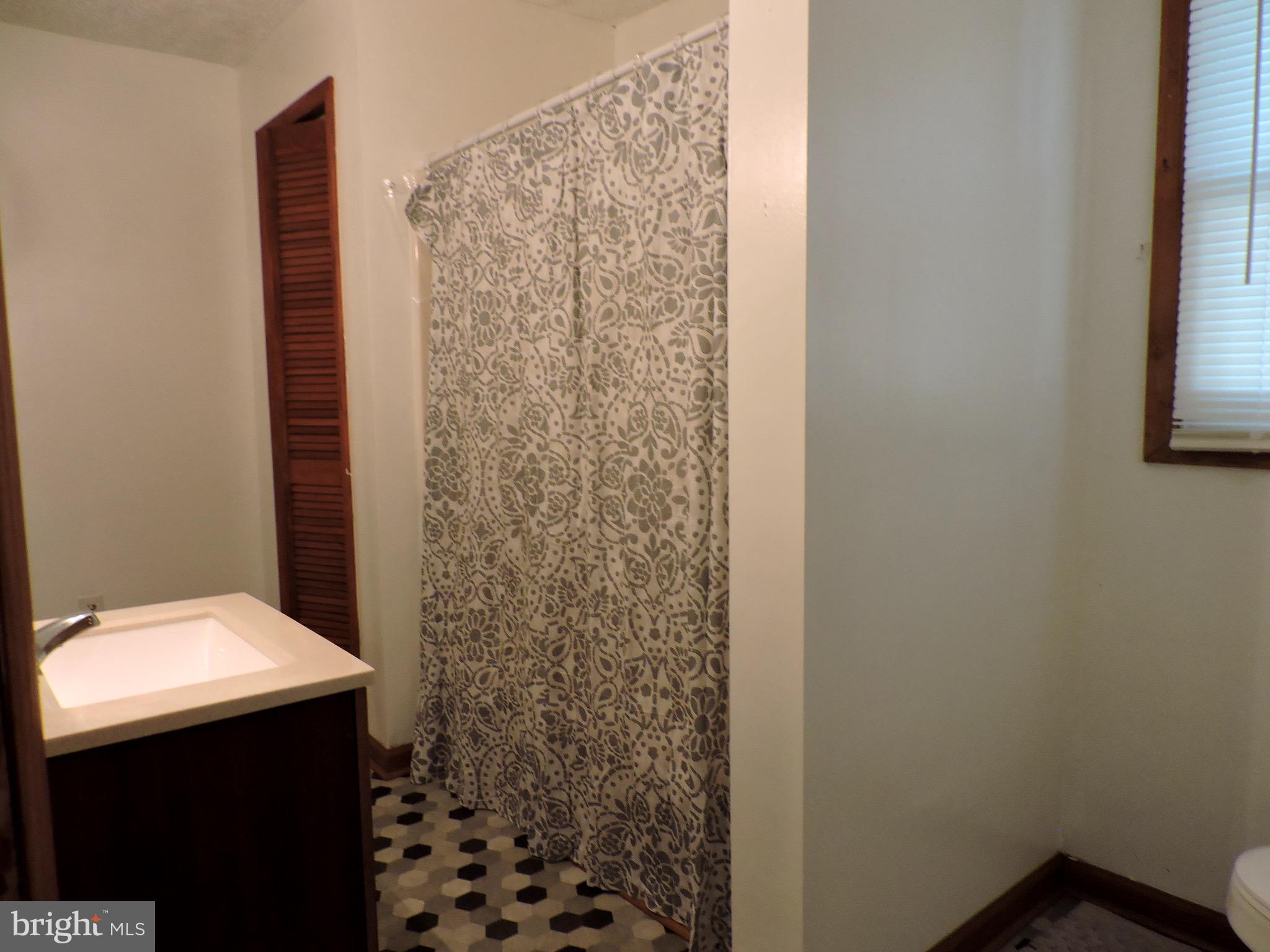 3961 Bryants Corner Road Hartly, DE 19953 - Photo 11 of 58 hall bath