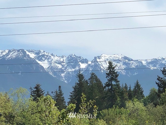 684 Monroe Road Port Angeles, WA 98362 - Photo 16 of 25 Gallery Image 16