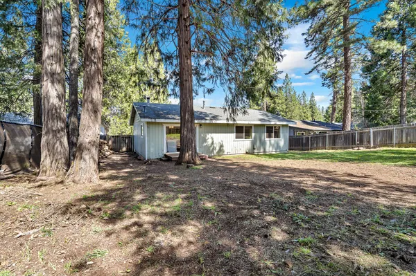 a view of a yard with trees