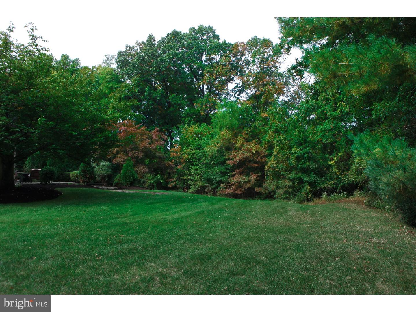 1019 Davis Road Lower Gwynedd, PA 19002 - Photo 24 of 25 Back Yard