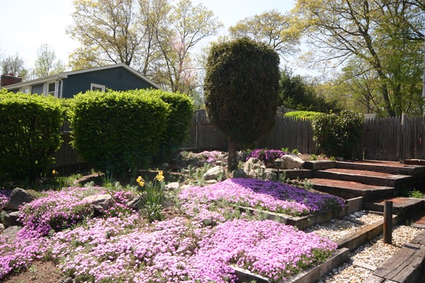 84 Yarmouth Road Norwood, MA 02062 - Photo 23 of 24 Gallery Image 23