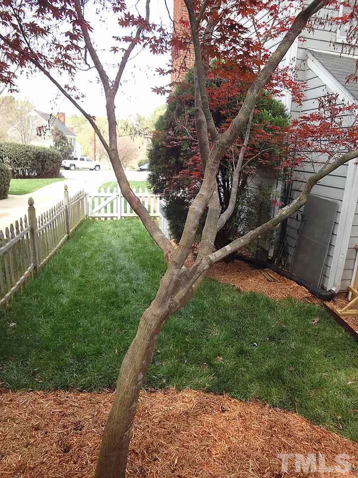 504 Aris Court Raleigh, NC 27615 - Photo 22 of 25 Gallery Image 22