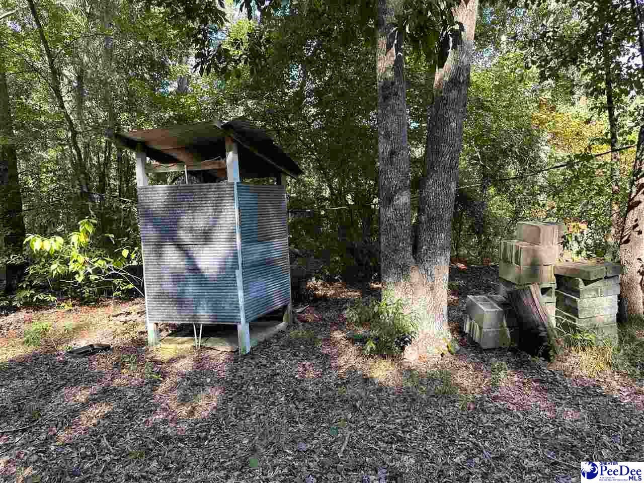 75-acres North Old Georgetown Road Coward, SC 29530 - Photo 11 of 27 Gallery Image 11