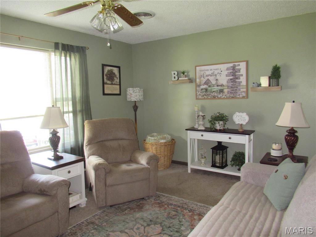 710 Sarah Street Sullivan, MO 63080 - Photo 5 of 35