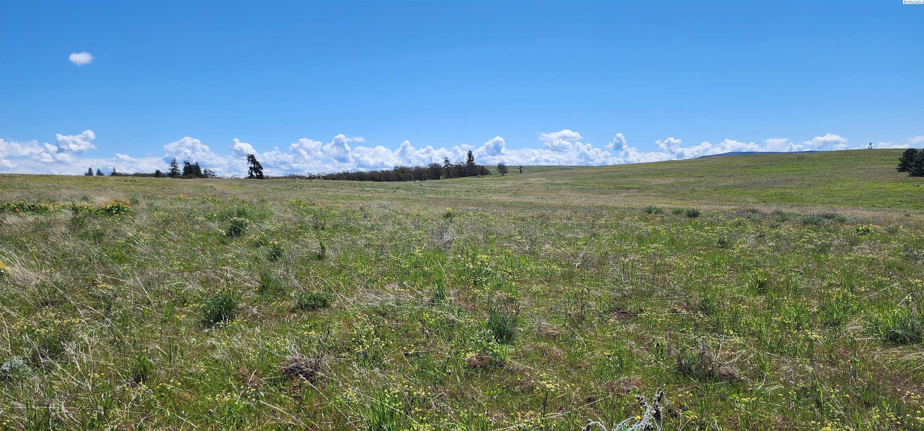 Lot 19 Schilling Road Lyle, WA 98635 - Photo 14 of 39 Gallery Image 14