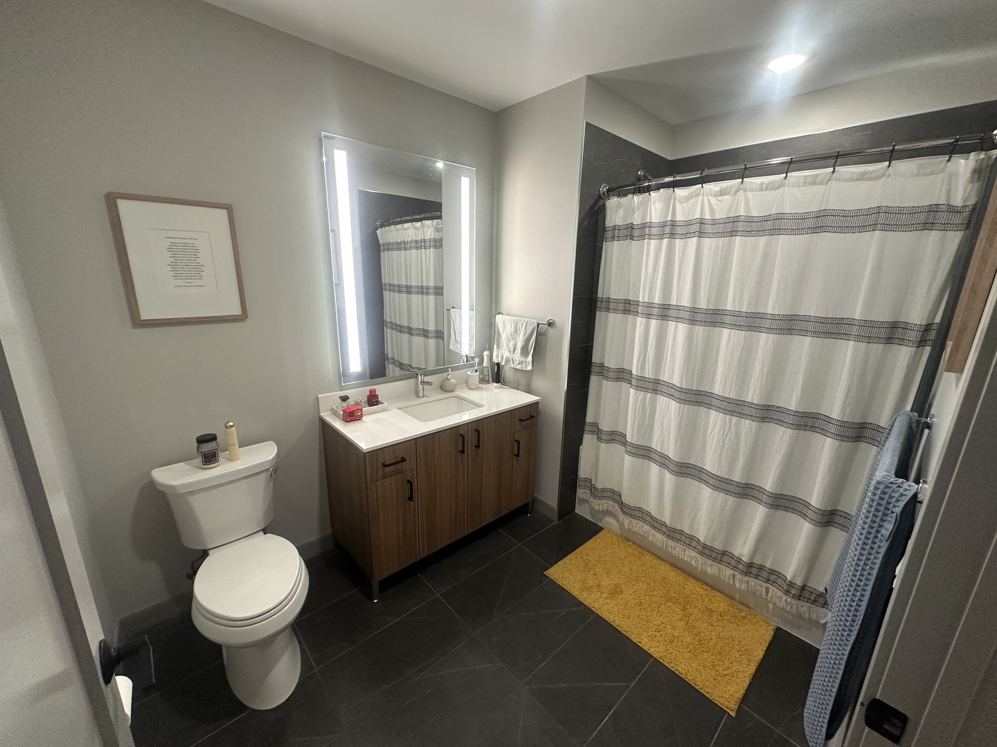 920 North Wells Street, Unit 612 Chicago, IL 60610 - Photo 10 of 14 a bathroom with a sink toilet and shower