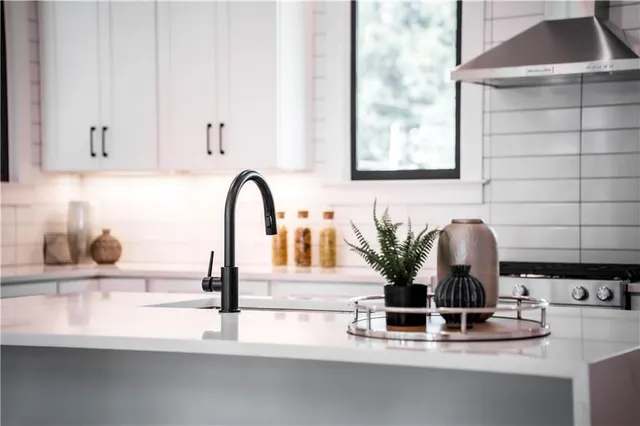 a kitchen with a sink a counter space appliances and cabinets