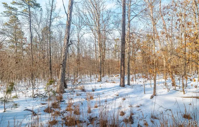 $399,900 | 0 County Road, Doniphan, MO 63935