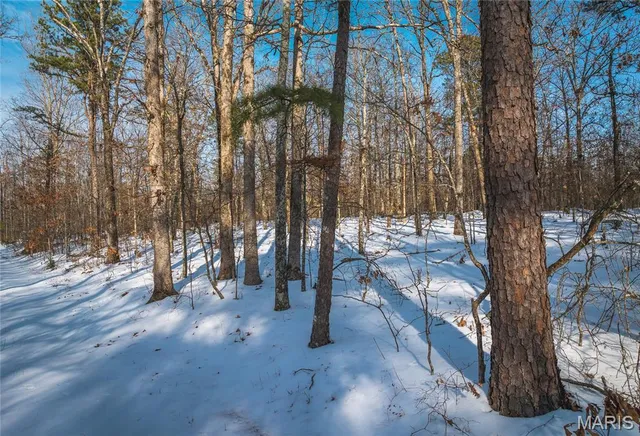 $399,900 | 0 County Road, Doniphan, MO 63935