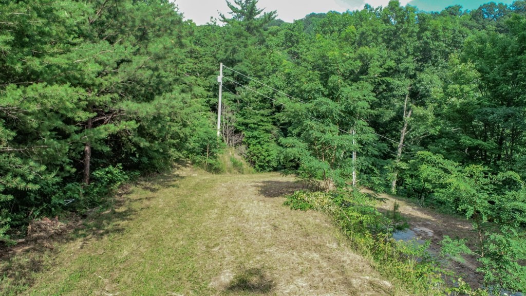 1634 Green Corner Road Hartford, TN 37753 - Photo 13 of 40 Gallery Image 13