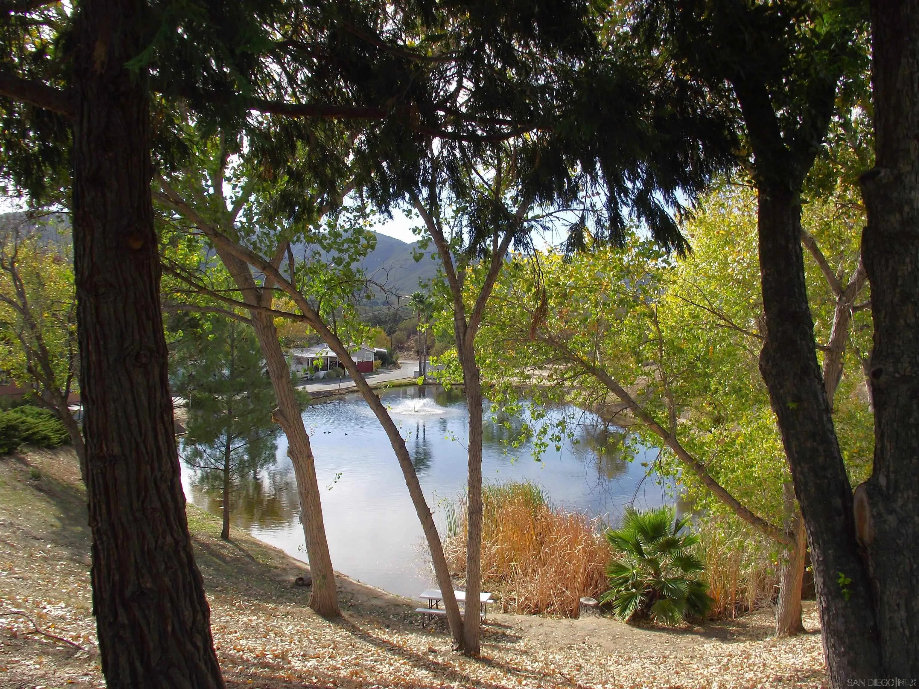 35109 Highway 79, Unit SPC/ #15 Warner Springs, CA 92086 - Photo 2 of 35 a view of a tree in front of a house