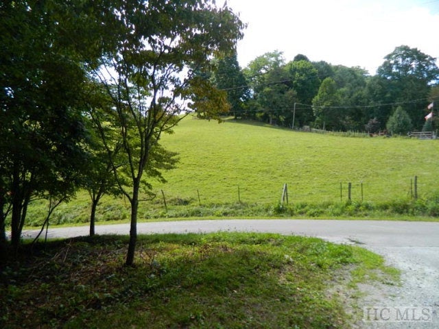 Tbd Bright Mt Road Cullowhee, NC 28723 - Photo 1 of 1 Gallery Image 1